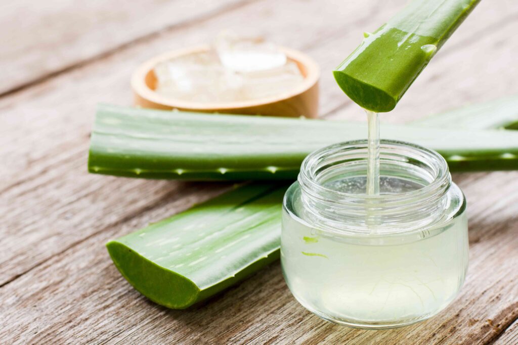 Aloe Vera Plant Benefits