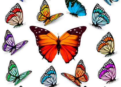 Types of Butterflies Found in India